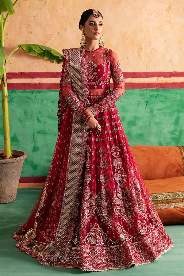 Gulabposh net embroidered dress with organza dupatta